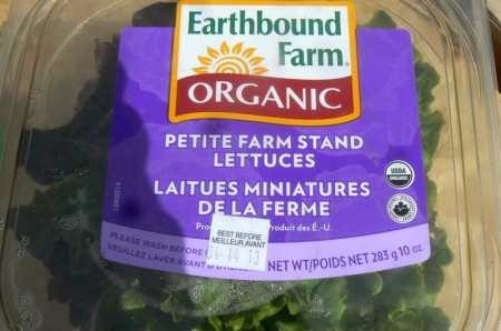 5-4-13--BountifulBaskets-old-lettuce