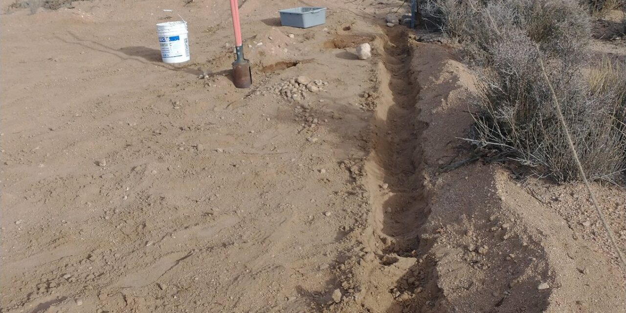 Finally planting Mesquite Trees at the new lots