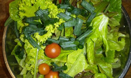 The last of the lettuce and mustard, onions and the first tomatoes